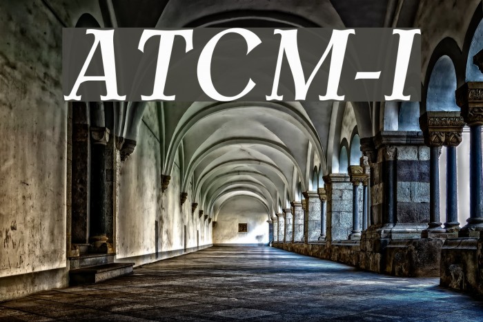 AntykwaTorunskaCondMed-Italic フォント examples