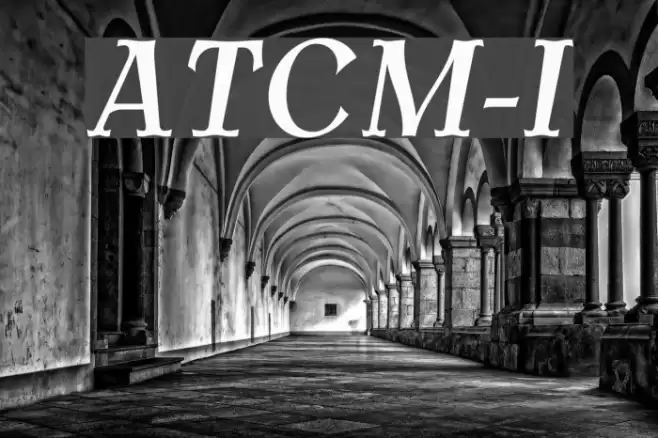 AntykwaTorunskaCondMed-Italic フォント examples
