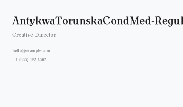 AntykwaTorunskaCondMed-Regular Business Card
