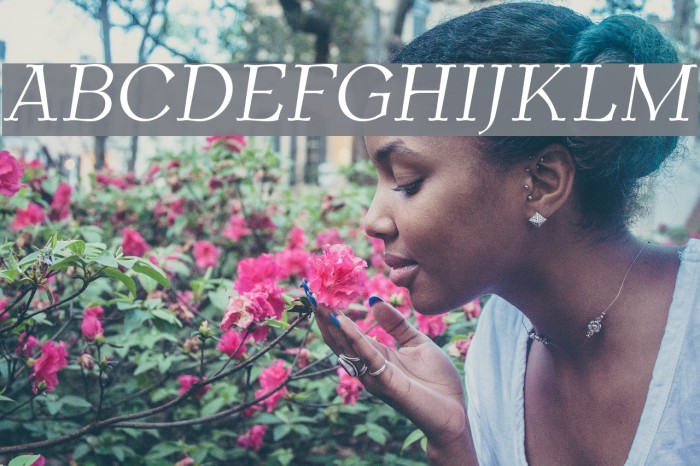 AntykwaTorunskaLight-Italic フォント examples