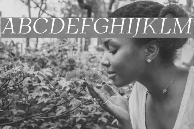 AntykwaTorunskaLight-Italic フォント examples