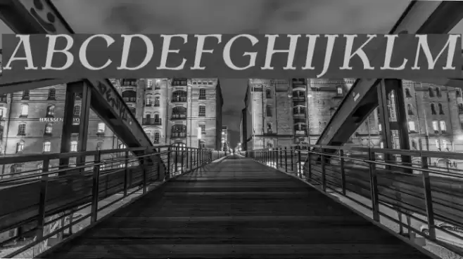 AntykwaTorunskaMed-Italic Font examples