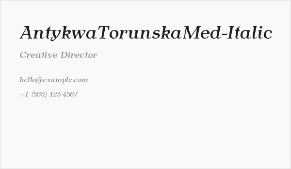 AntykwaTorunskaMed-Italic Business Card