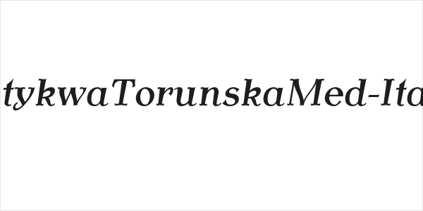 AntykwaTorunskaMed-Italic Logo