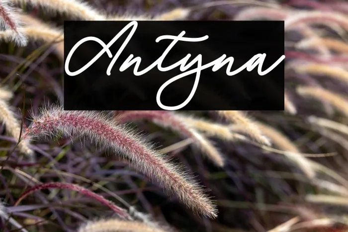 Antyna Example 1