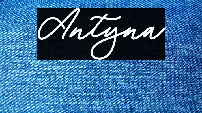 Antyna Example 2