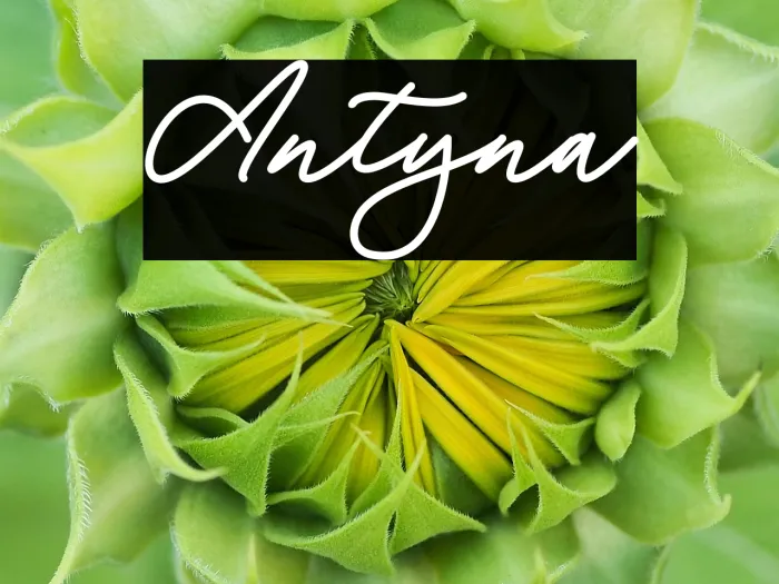 Antyna Example 3
