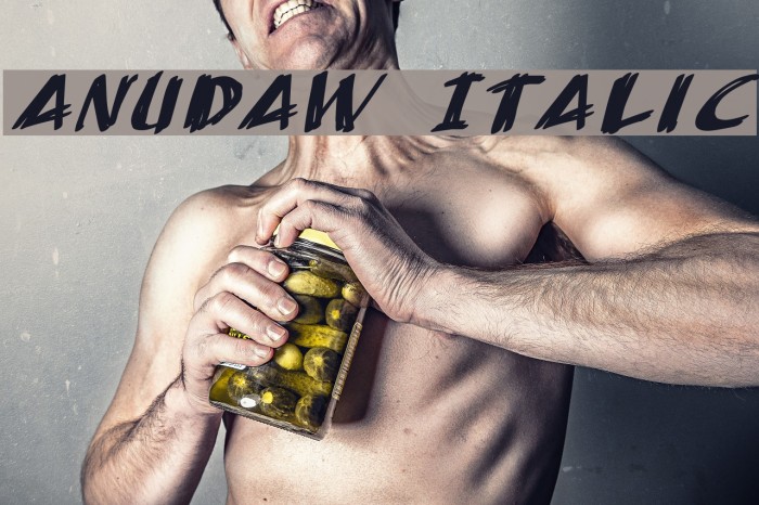 AnuDaw Italic Fonte examples