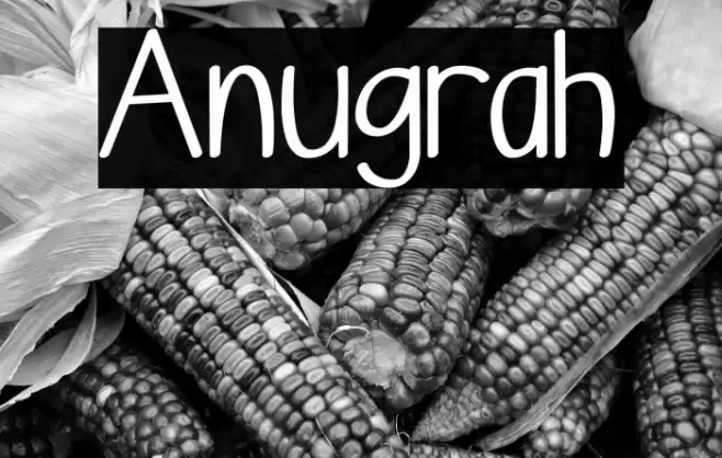 Anugrah Font examples