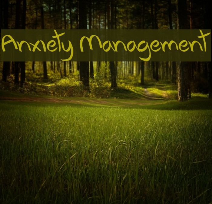 Anxiety Management Font examples