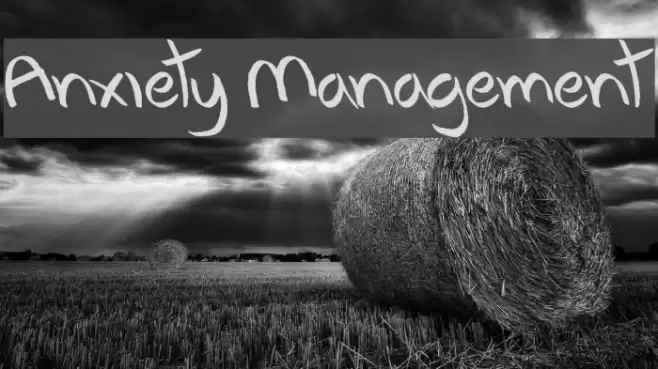 Anxiety Management Font examples