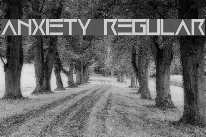 Anxiety Regular Font examples