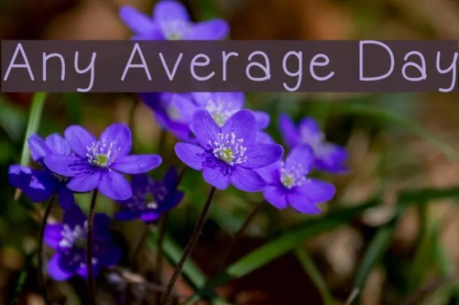 Any Average Day Example 2