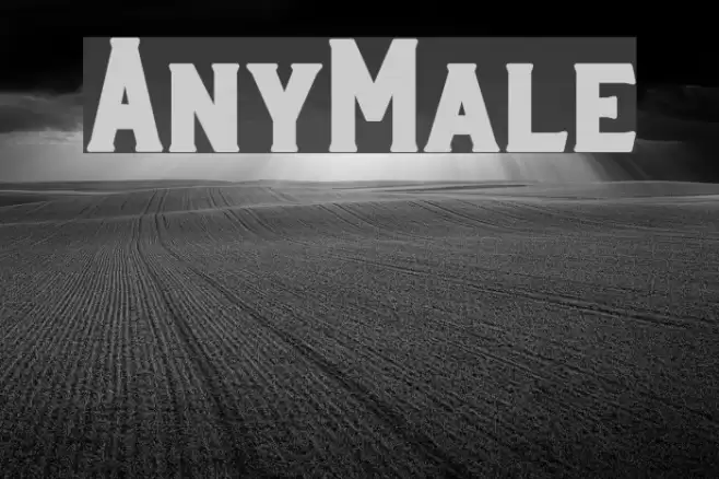 AnyMale Font examples