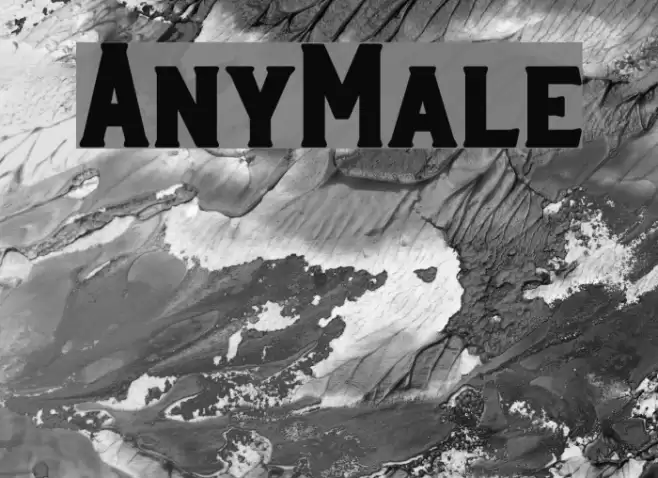 AnyMale Font examples