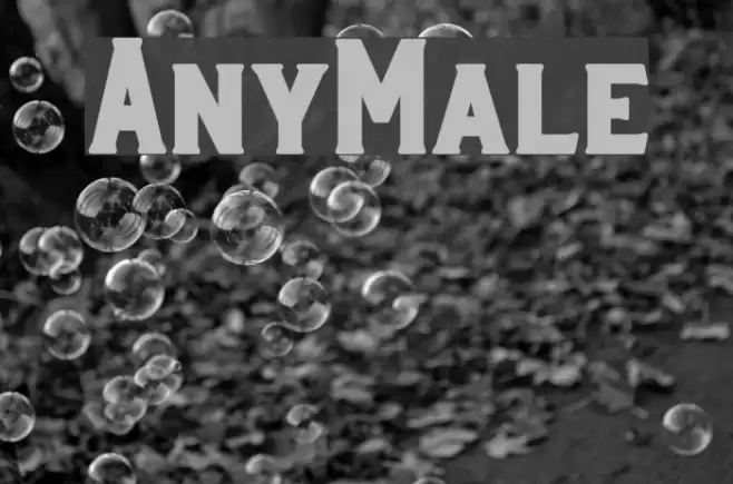 AnyMale Font examples