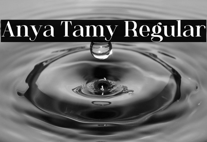 Anya Tamy Regular Example 1
