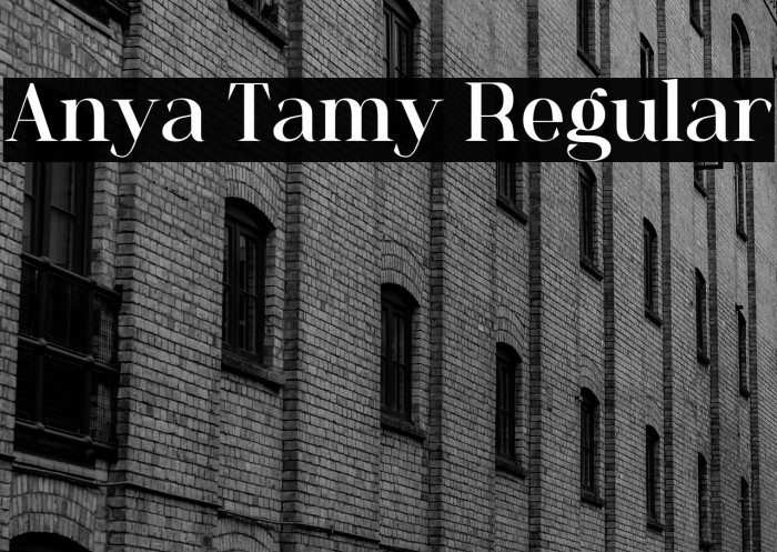 Anya Tamy Regular Example 2