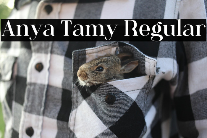 Anya Tamy Regular Example 3