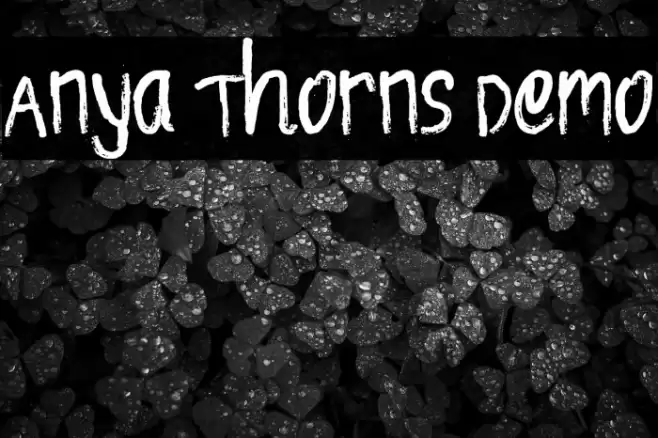 Anya Thorns Demo Font examples