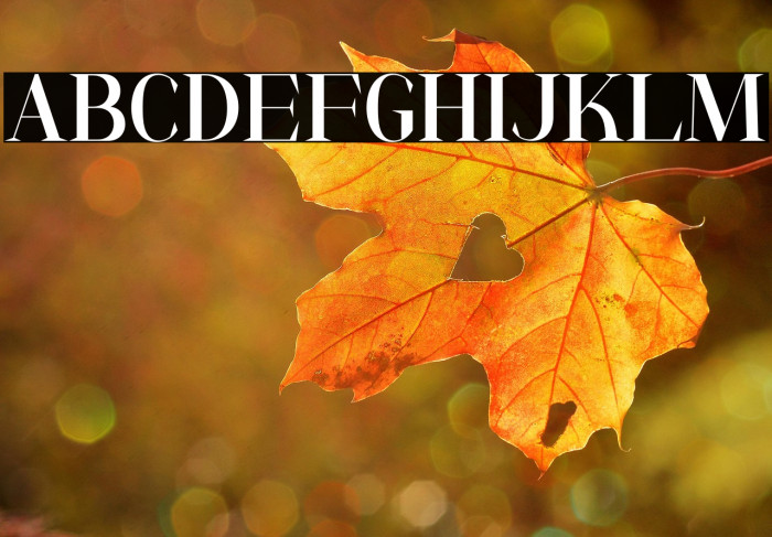 AnyaTamy-Regular Example 1