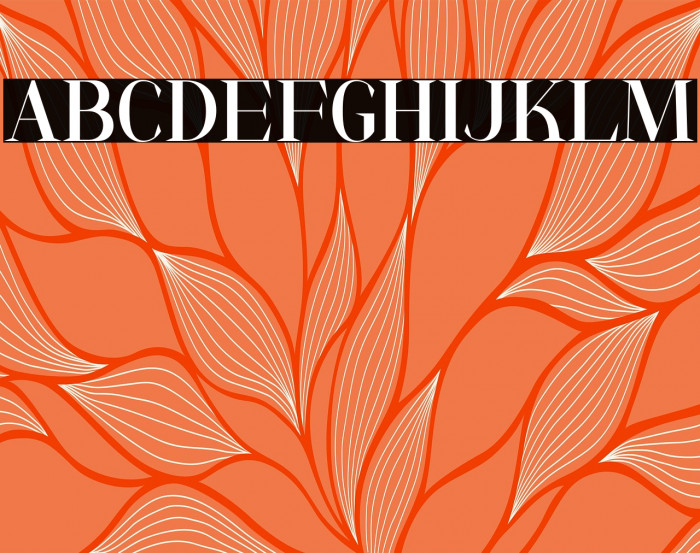 AnyaTamy-Regular Example 3