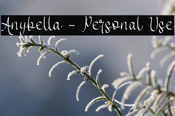 Anybella - Personal Use Example 1
