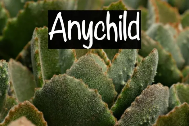 Anychild Example 3
