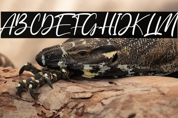 Anyer Beach Example 1