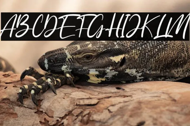 Anyer Beach Example 1