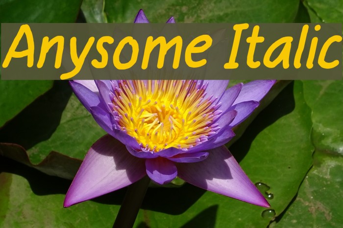 Anysome Italic Font examples