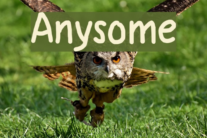 Anysome Font examples