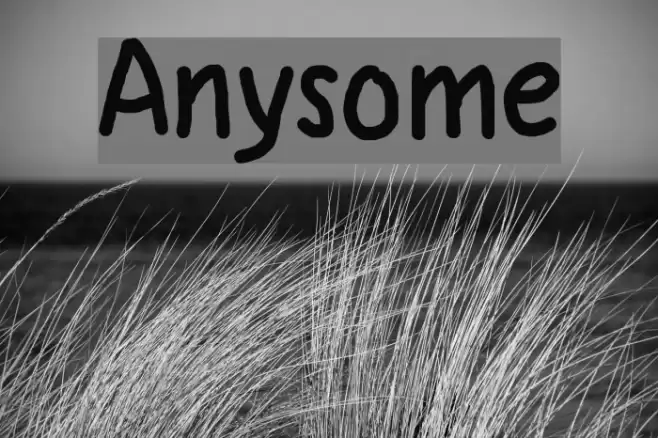 Anysome Font examples
