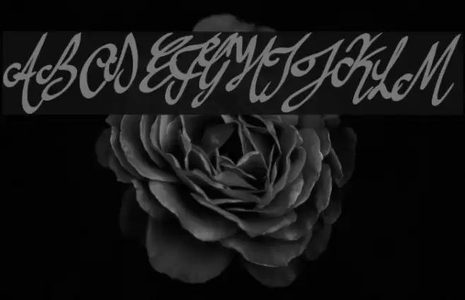 Anything For You Font examples