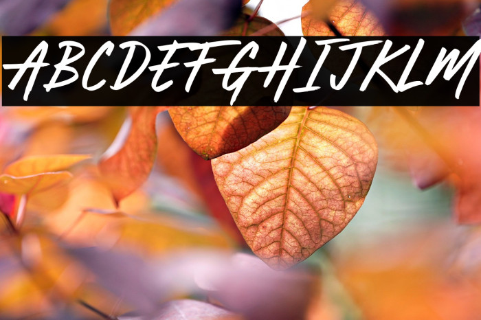 Anything Goes Example 1