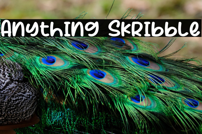 Anything Skribble Example 1