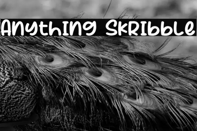 Anything Skribble Font examples