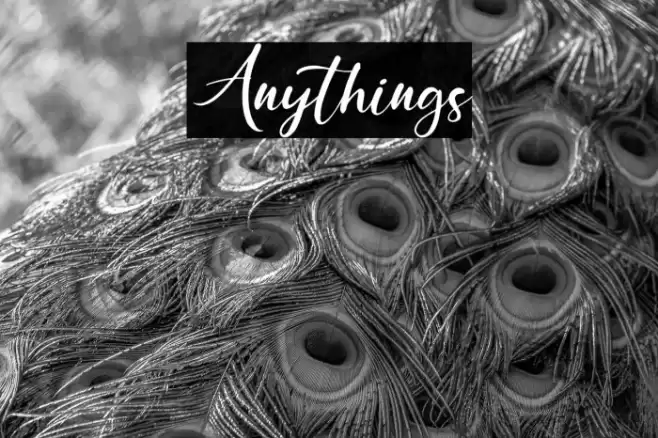 Anythings Font examples