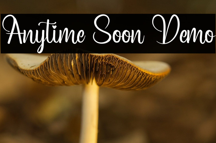 Anytime Soon Demo Example 1