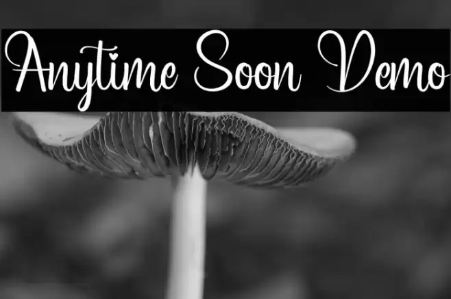 Anytime Soon Demo Font examples