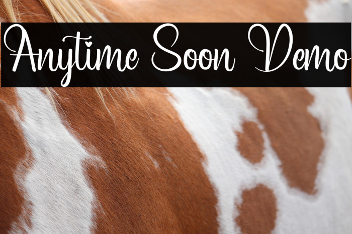 Anytime Soon Demo Example 2