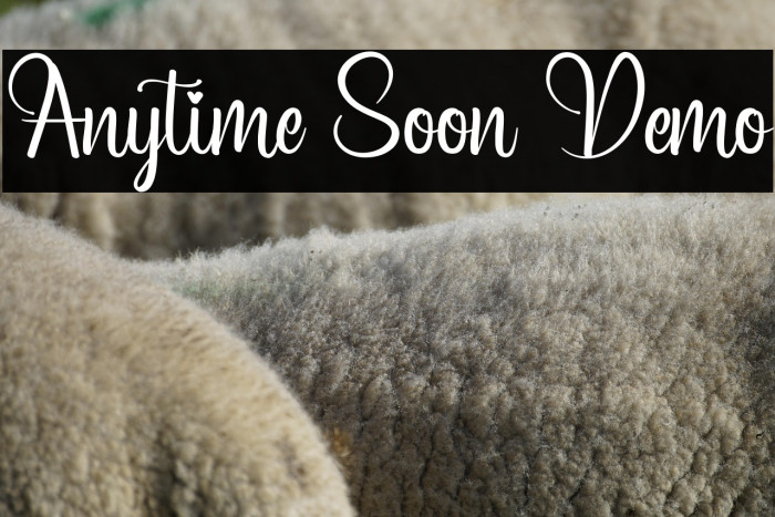 Anytime Soon Demo Example 3