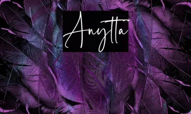Anytta Example 3