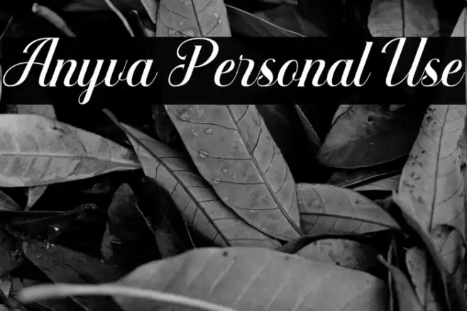 Anyva Personal Use Font examples