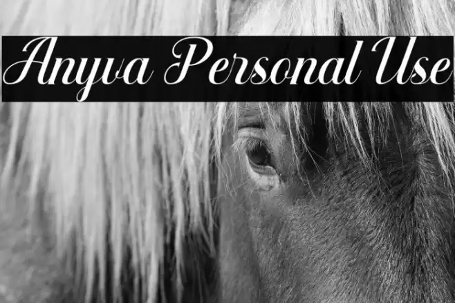 Anyva Personal Use Font examples