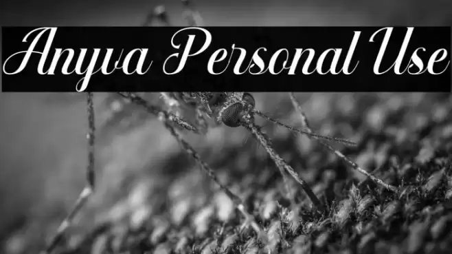 Anyva Personal Use Font examples