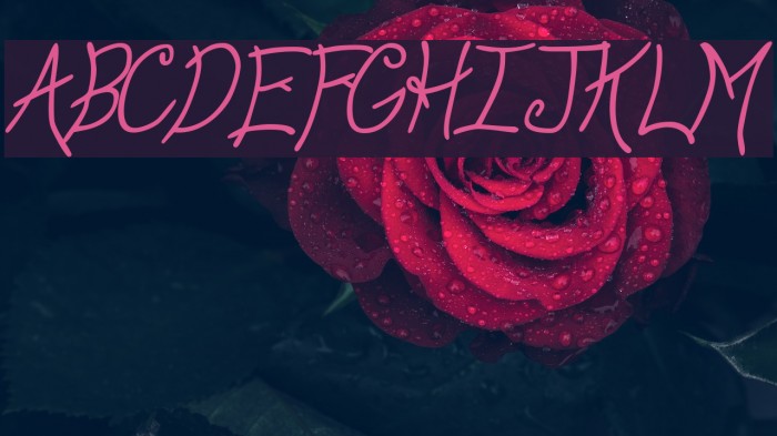 Anyway Italic Font examples