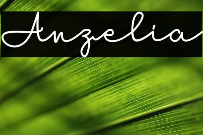Anzelia Example 2