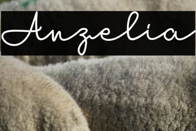 Anzelia Example 3