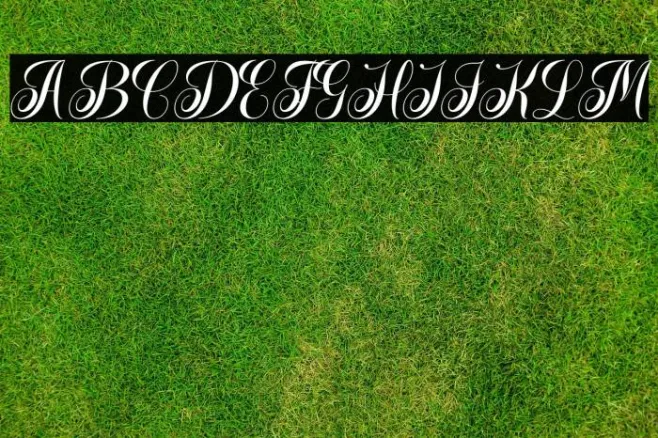 Anzilam Example 2